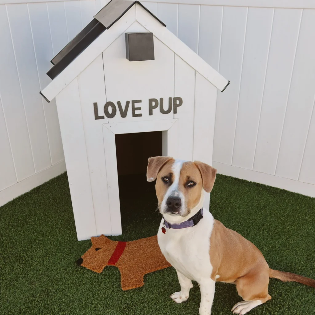 Team member at #LovePup Foundation event