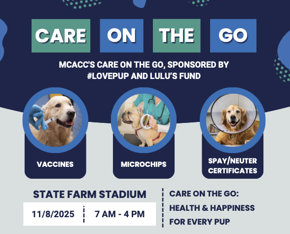 Care on the Go 2025 event flyer