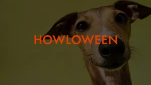 Howloween at W Scottsdale event graphic featuring a close-up of a dog